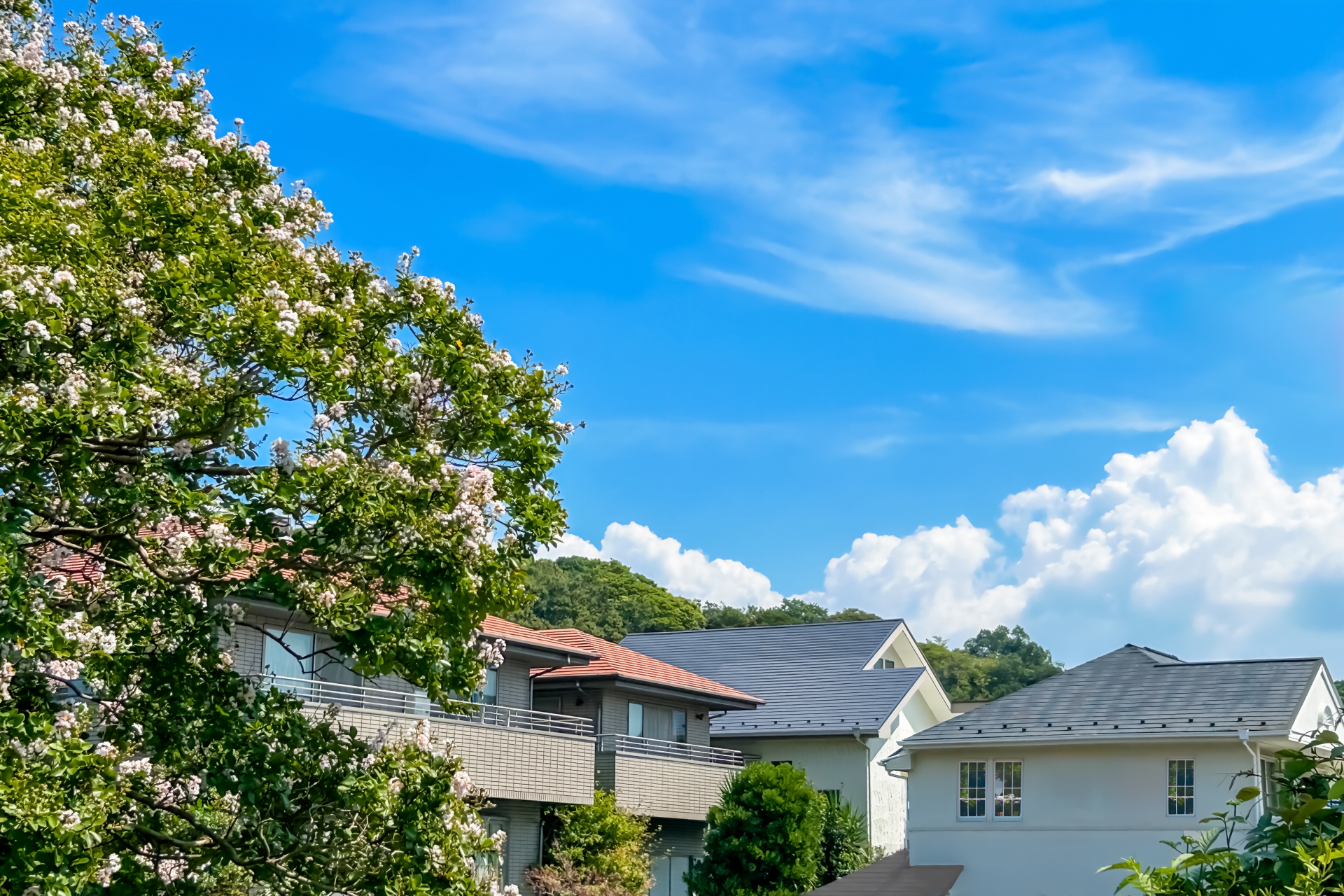 株式会社ワミレス